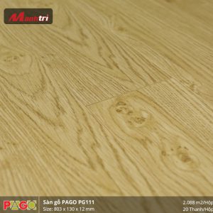 pago-pg-111-2