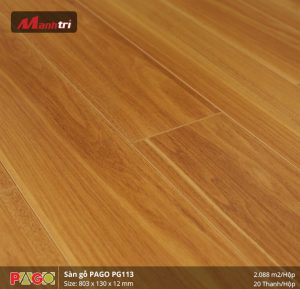 pago-pg-113-1