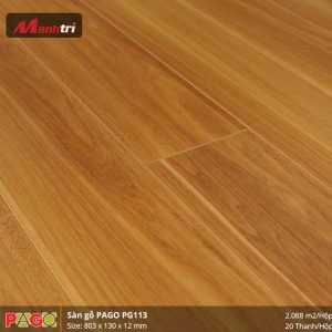 pago-pg-113-1