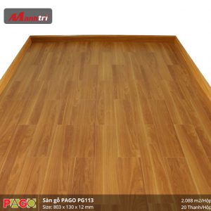 pago-pg-113-2