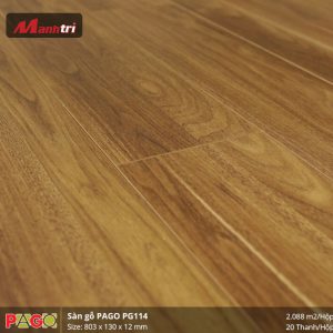 pago-pg-114-1