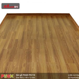 pago-pg-114-2