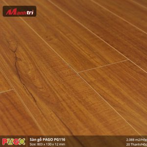 pago-pg-116-1