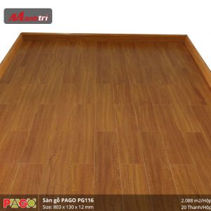 pago-pg-116-2