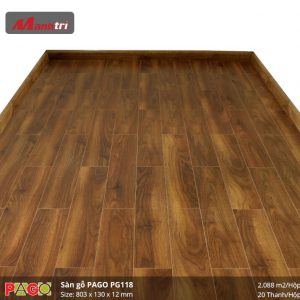 pago-pg-118-2
