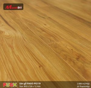 pago-pg-119-1