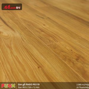 pago-pg-119-1