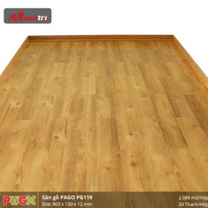 pago-pg-119-2