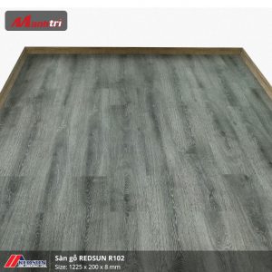 redsun-r102-2