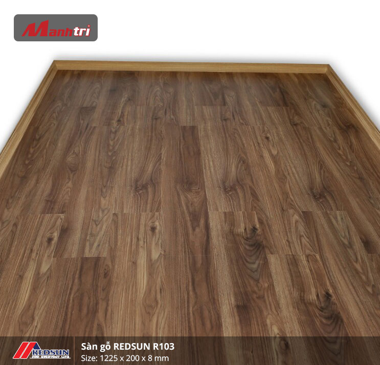 redsun-r103-2 redsun-r103-2