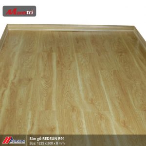 redsun-r91-2