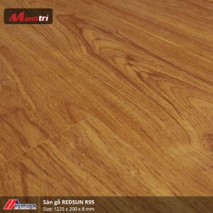 redsun-r95-1