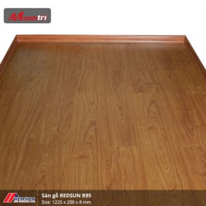 redsun-r95-2