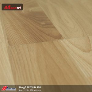 redsun-r98-1