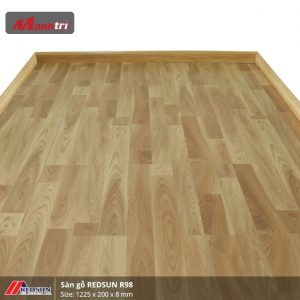 redsun-r98-2