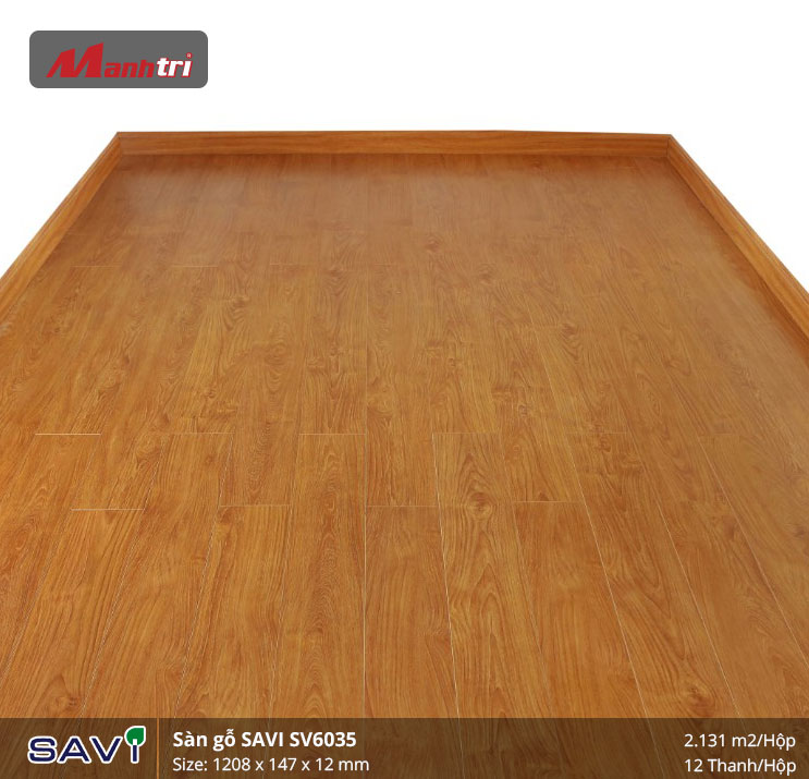 savi-sv6035-2 savi-sv6035-2