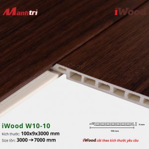 tấm ốp iWood W10-10