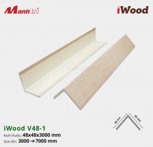 nẹp V48x48-1