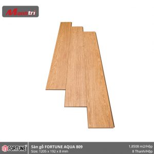 Sàn gỗ Fortune 809 hình 1