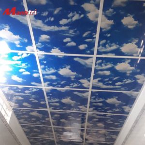 tấm ốp tường hoa văn PVC 09 hình 2