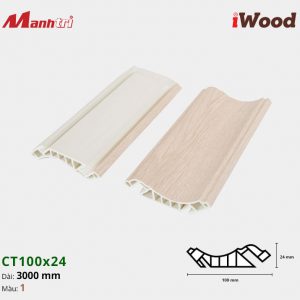 Nẹp Trần CT100x24
