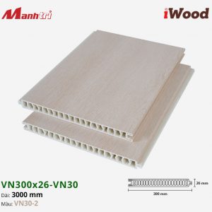 iWood VN30-2 hình 2