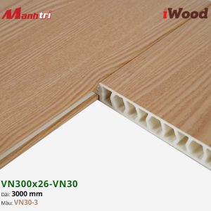 iWood VN30-3 hình 3