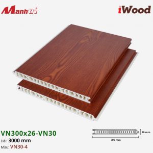 iWood VN30-4 hình 2