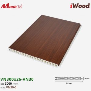 iWood VN30-5 hình 1