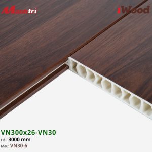iWood VN30-6 hình 3