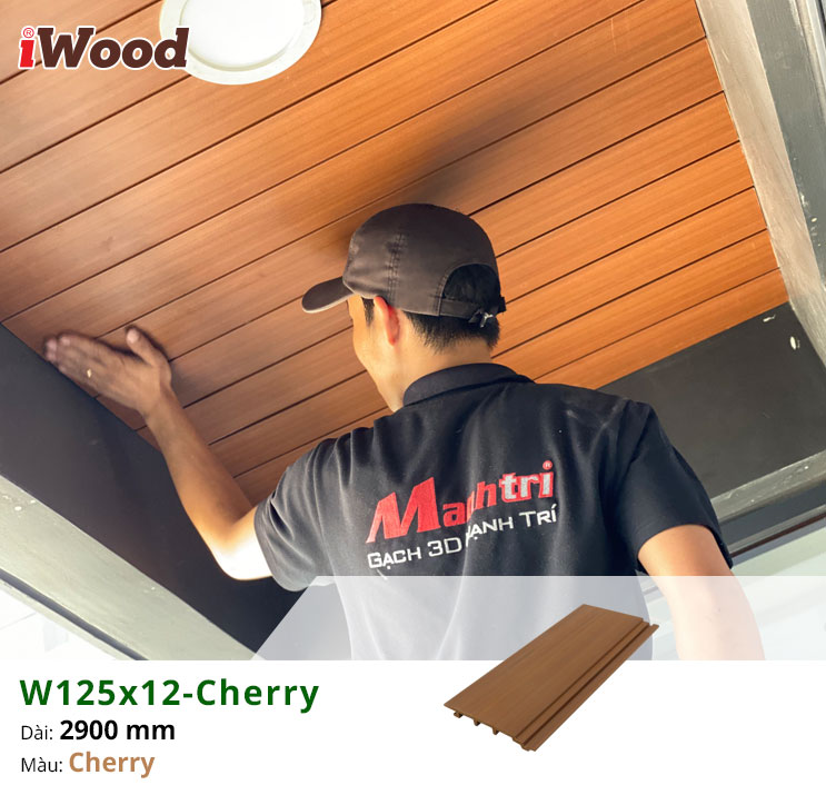 thi-cong-w125-12-cherry-kingdom-5