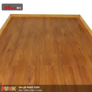 pago-d204-2