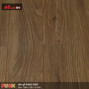 pago-d207-1