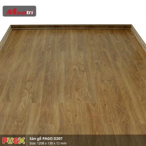 pago-d207-2