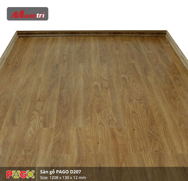 pago-d207-2 pago-d207-2