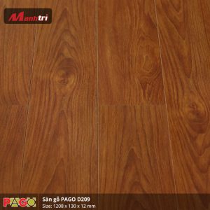 pago-d209-1