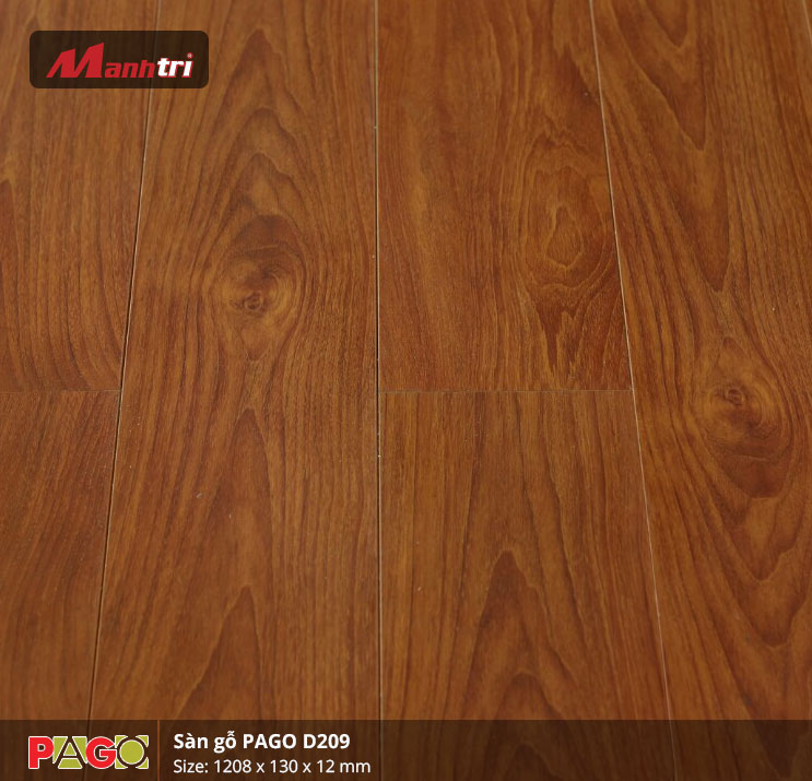 pago-d209-1 pago-d209-1