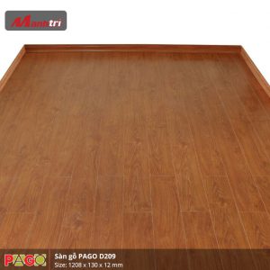 pago-d209-2