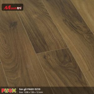 pago-d210-1