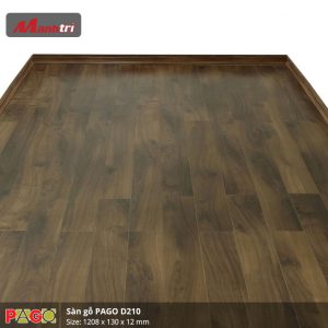 pago-d210-2