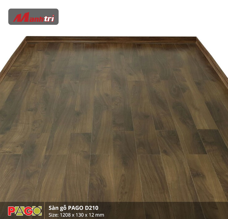 pago-d210-2 pago-d210-2