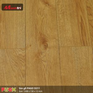 pago-d211-1
