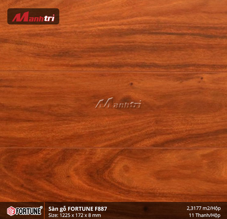 san-go-fortune-aqua-f887-hinh-4 sàn gỗ fortune F887