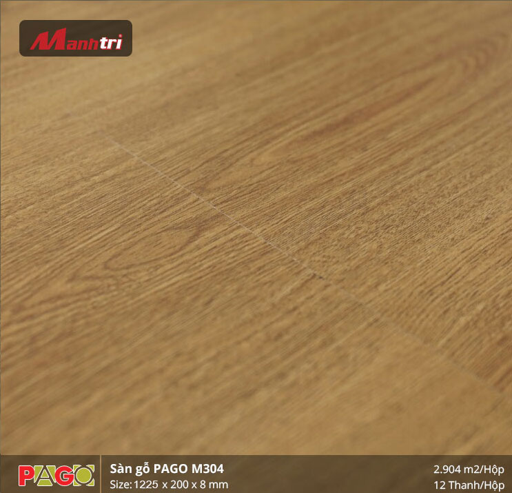 pago-m304-1