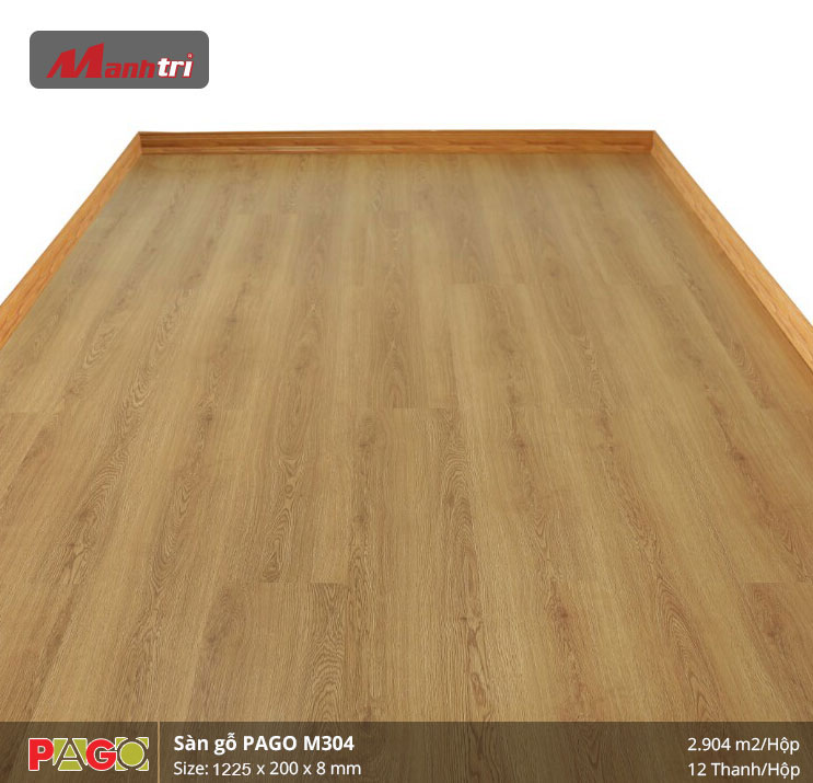 pago-m304-2