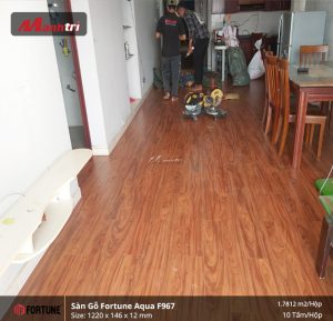 Lót sàn gỗ Fortune Aqua F967 tại quận 12