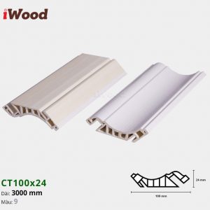 Nẹp Cổ Trần 100x24