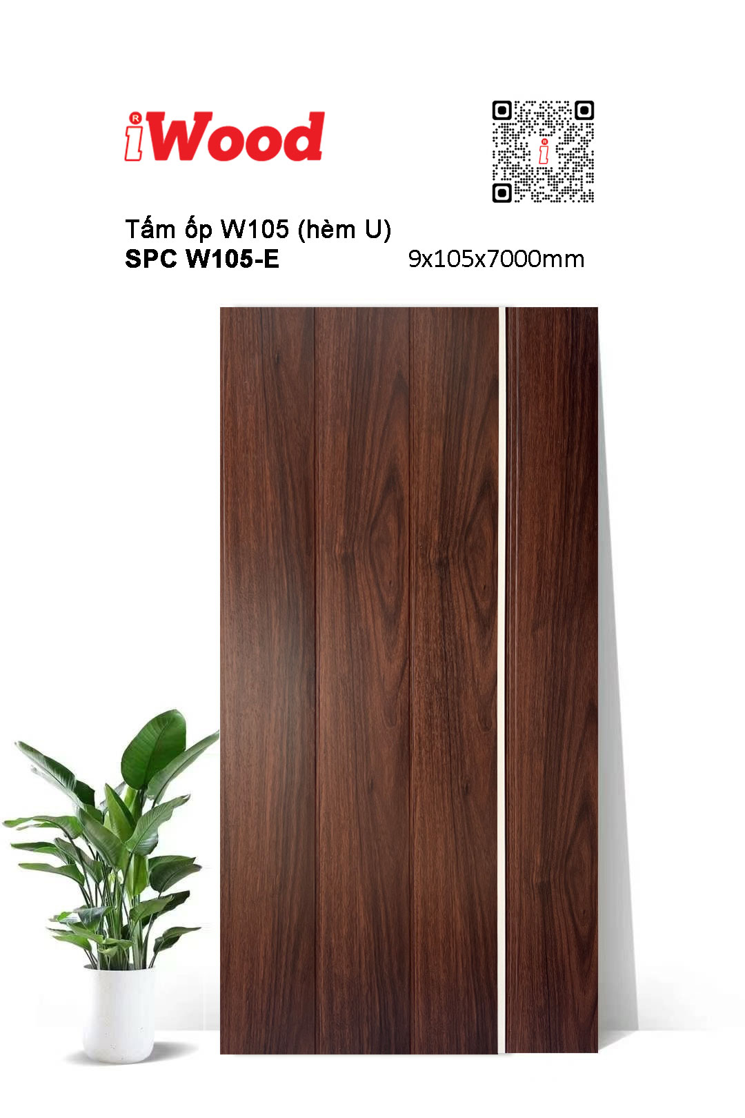 tam-op-iwood-spc-105-e Tấm ốp iWood SPC W105-E