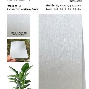 Tấm Than Tre Film Inox Xước MT-2
