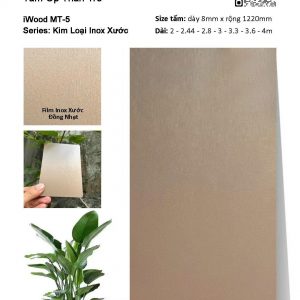 Tấm Than Tre Film Inox Xước MT-5
